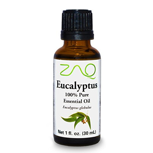 ZAQ Eucalyptus Pure 100% Essential Oil - Popularelectronics.com
