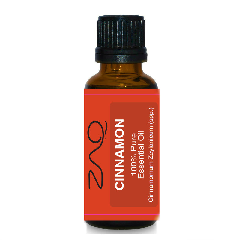 ZAQ Cinnamon Pure 100% Essential Oil 15ml - Popularelectronics.com